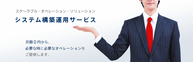 システム構築運用サービス